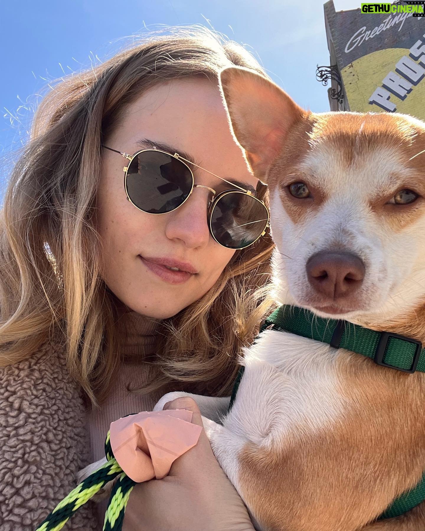 Willa Fitzgerald - 21.6K Likes - š¦š