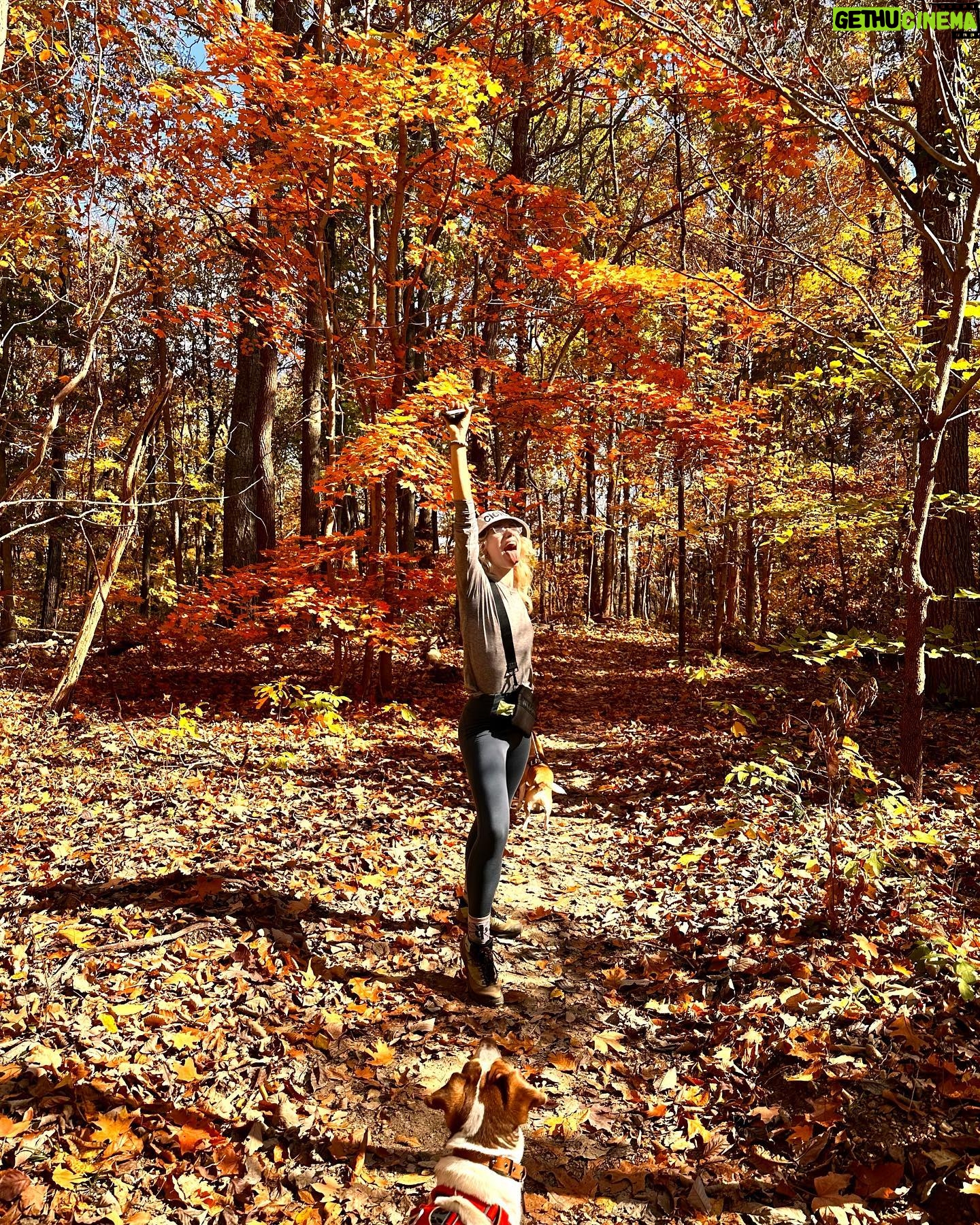 Willa Fitzgerald Instagram - Itβs my favorite time of year to VOTE!! π³π
