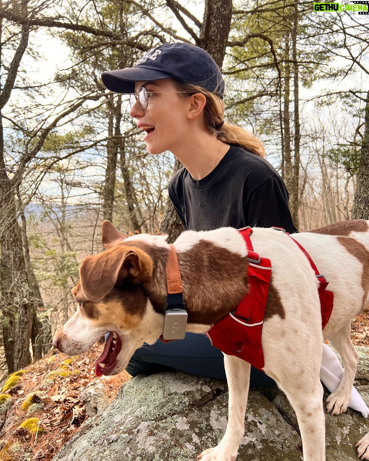 Willa Fitzgerald Instagram - Two pups in the wild 📸: @missyou_music