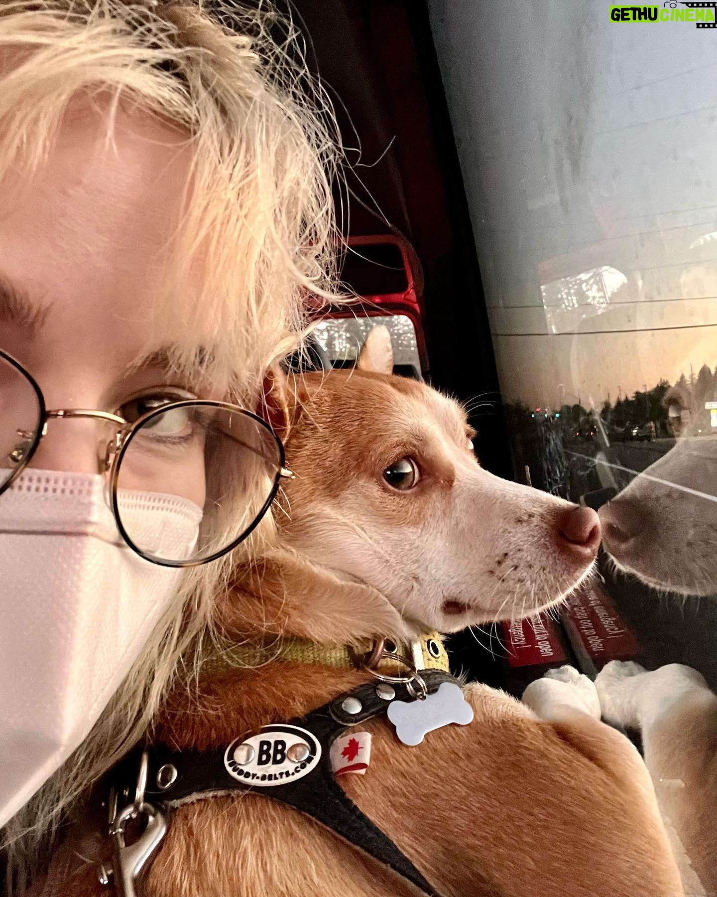 Willa Fitzgerald Instagram - Always invest in a good neck pillow.