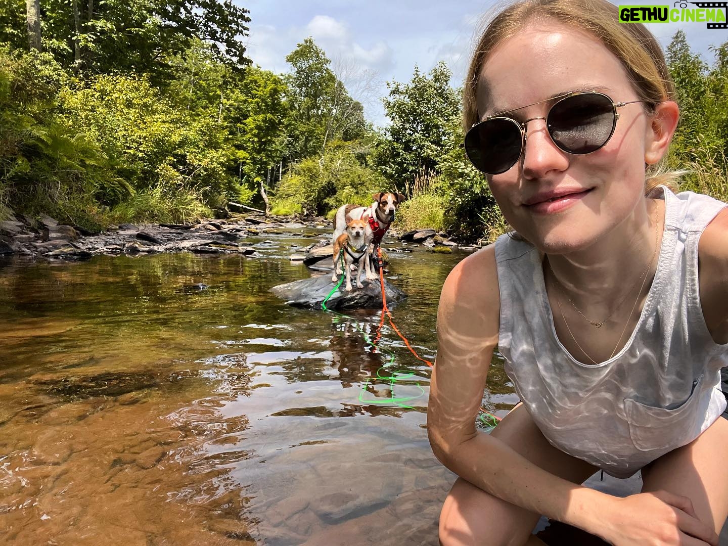 Willa Fitzgerald - 19.6K Likes - I donāt take pictures without my dogsā¦š¬