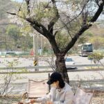 Won Jin-ah Instagram – 지난 주말 오전 🌿
