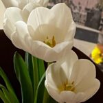 Won Jin-ah Instagram – 🌷
