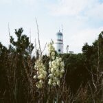 Won Jin-ah Instagram – 부산 기억
