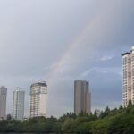 Won Jin-ah Instagram - 분캄쇼도보고 무지개도보고 주영언니랑 웃고🌈