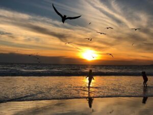 Xenia Goodwin Instagram - Had the most incredible afternoon playing and shooting with @isabeldurant & @aliciabanit  on Venice Beach in the water under the sunset.  I couldn’t be more blessed having friends like these.  Love you both.  #nofilter #beautifulladies