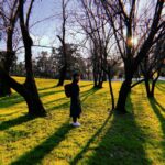 Ximena Romo Instagram - De esos dias de artistas, Madrid, los tejados de Toledo, escapadas en botes, familia, bosque 🫀✨👀