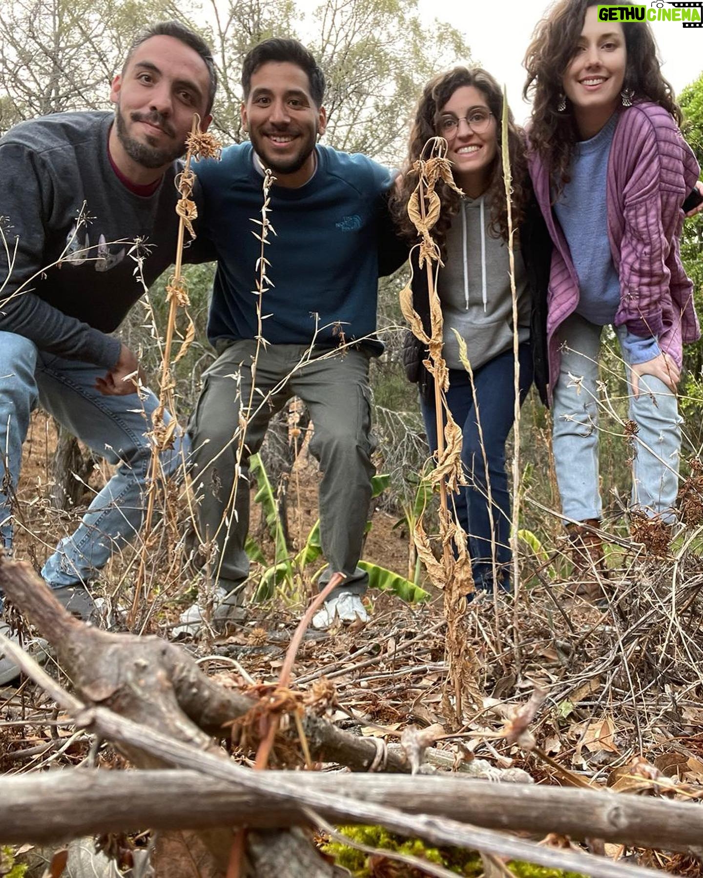 Ximena Romo Instagram - Los cuatro elementos y el quinto espíritu eres tú, así que into the unknown. Solo recuerda que ya no puedes jugar así en la alberca porque eres adulta y se te mete el agua a los oídos. Gracias 🫀 @anna.mansii @hugolu.na @victorsterrazas