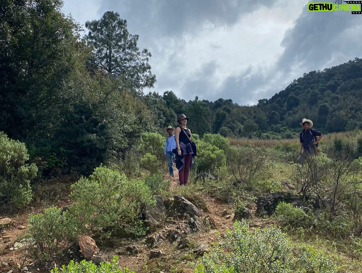 Ximena Romo Instagram - SANTOS REYES PÁPALO Subimos las montañas de Oaxaca, caminamos subidas y bajadas. La niebla nos abrazó. Nunca había visto tanta tierra, tanto verde, tanta cosecha, la nubes tan cerquita. Fuimos tres, viviendo juntos, trabajando a la par. Di un taller de actuación en el bachillerato. Emoción y miedo, juego, imaginación…todo salió increíble. Un proyecto fotográfico al lado del artista kraken y la mujer de las plantas, coleccionistas y recolectores de rocas, tierra, plantas y flores. Me presentaron a las cabras, me hablaron del dueño del bosque y el dios del rayo (la lluvia). Nos invitaron a comer y conocimos sus vidas. Vimos el barro nacer. Un abrazo femenino. Apapacho por las noches. Casa improvisada. Gracias Rogelio por todo. Gracias comité de madres. Gracias chicas y chicos por participar, espero lo hayan disfrutado tanto como nosotrxs. GRACIAS 🫂 @mend._.00 🫀 @jp_minor “Jadi chinyadi”