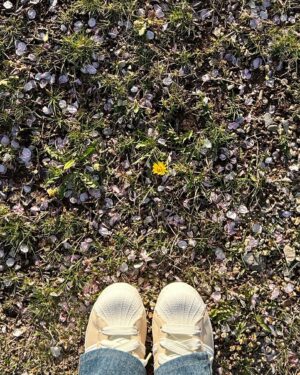 YENA Instagram - 🌼✈️
