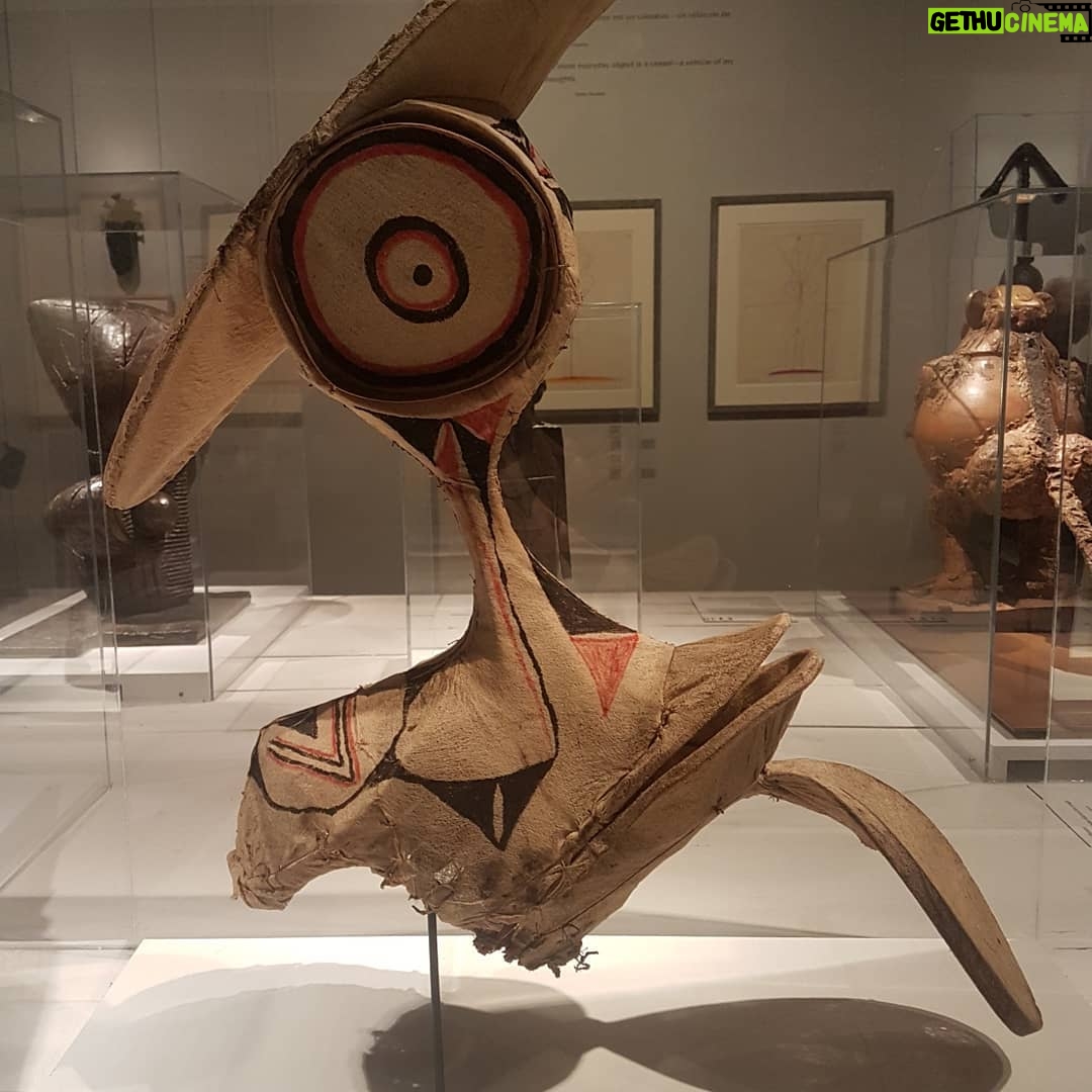 Yama Laurent - 3 Likes - J'ai caressé d'autre Mystérieuse couleur de vie, en allant voir les fameuses pointes de pinceaux de monsieur Pablo Picasso ( merci ami JP Manelli )🤝🤝 🖐🖐 En 3ieme Secondaire, suite à un atelier littéraire, j'avais 15 ans , j'ai assisté à une bataille de mot entre un prof et un élève ... le prof était convaincu que ce serait impossible pour nous de voir un Raffaello Sanzio ,un Egon Shiele ou un Paul Klee ect.. en personne 🤔
Je suis tellement contente, récemment j'ai trouvé des illustrations poétiques remarquables de Pierre de Ronsard et de Joachim du Bellay👀❤
( villages des valeurs )
Tout peut arriver , il suffit d'y croire💦💦
Je me fie encore à L'idée qu'un jour , ce sera le tour de Leonardo de Vinci ou de Vassily ect.... 💞C'est pas trop captivantes les photos,
Mais j'ai voulu partager ces rêves avec vous💞💞