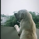 Yamini Bhaskar Instagram - 🤍🤍