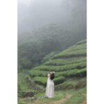 Yamini Bhaskar Instagram - Everything you would ever need will come to you at the right time. ✨ #kerala #keralatourism #nature