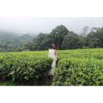 Yamini Bhaskar Instagram - Everything you would ever need will come to you at the right time. ✨ #kerala #keralatourism #nature