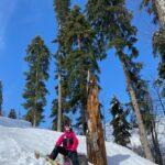 Yana Churikova Instagram - 🏔️Листай и почувствуй энергию гор! Последнее фото в карусели заряжено на удачу! ⠀ Пока только мечтаю о каникулах в горах, собрала фотки с разных склонов разных лет. ⠀ 🏂С Всемирным днем сноубординга, товарищи! ⠀ Кто какие горы узнал? ⠀ Кто и где уже катнул в этом сезоне? ⠀ Рассказывайте в комментах! 🔽