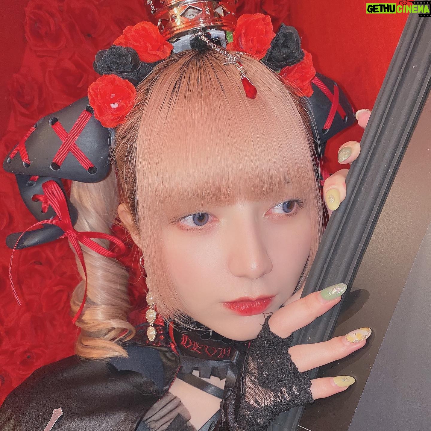 Yane - 3.3K Likes - 悪魔❤️🔥