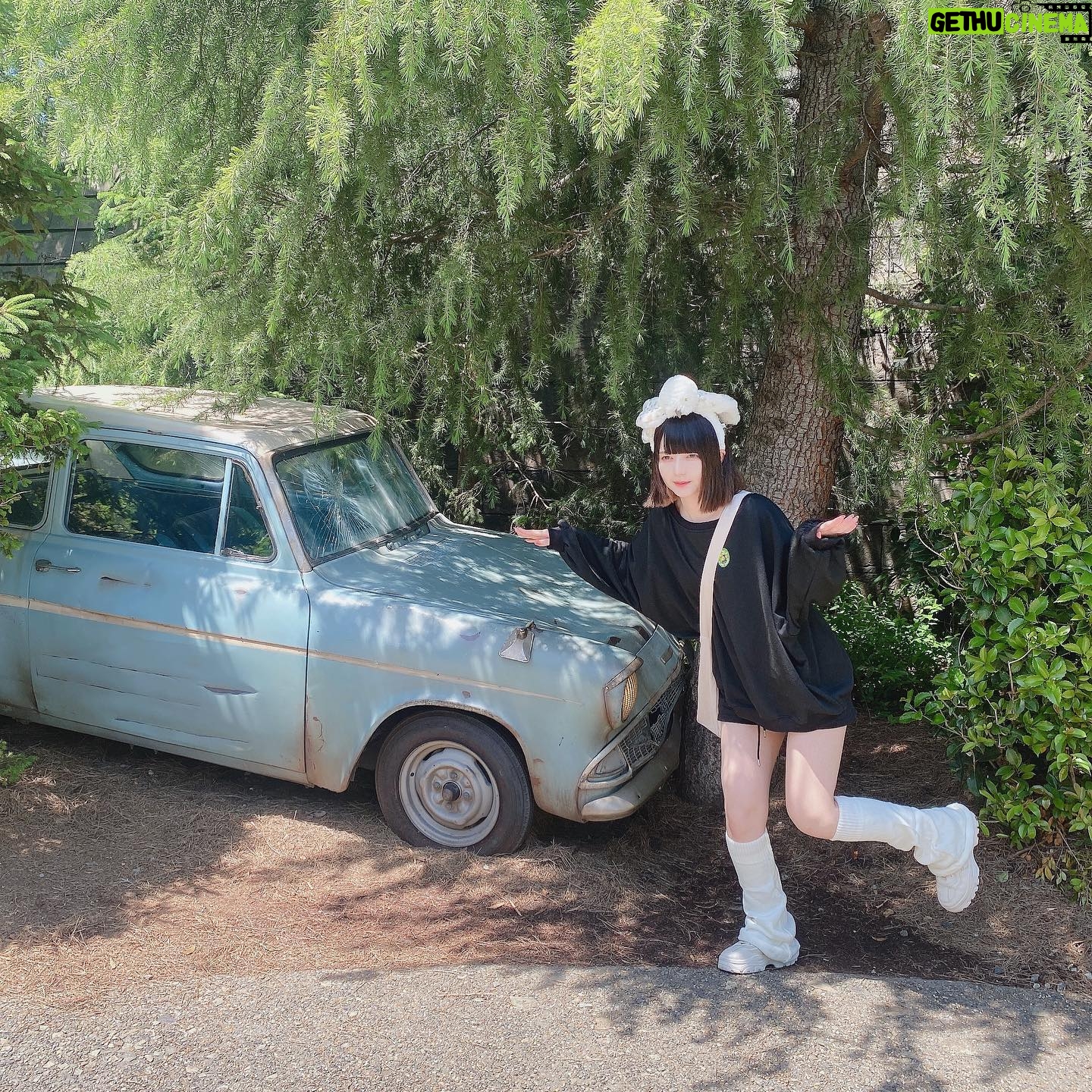 Yane - 3.6K Likes - ヘドウィグ^-^