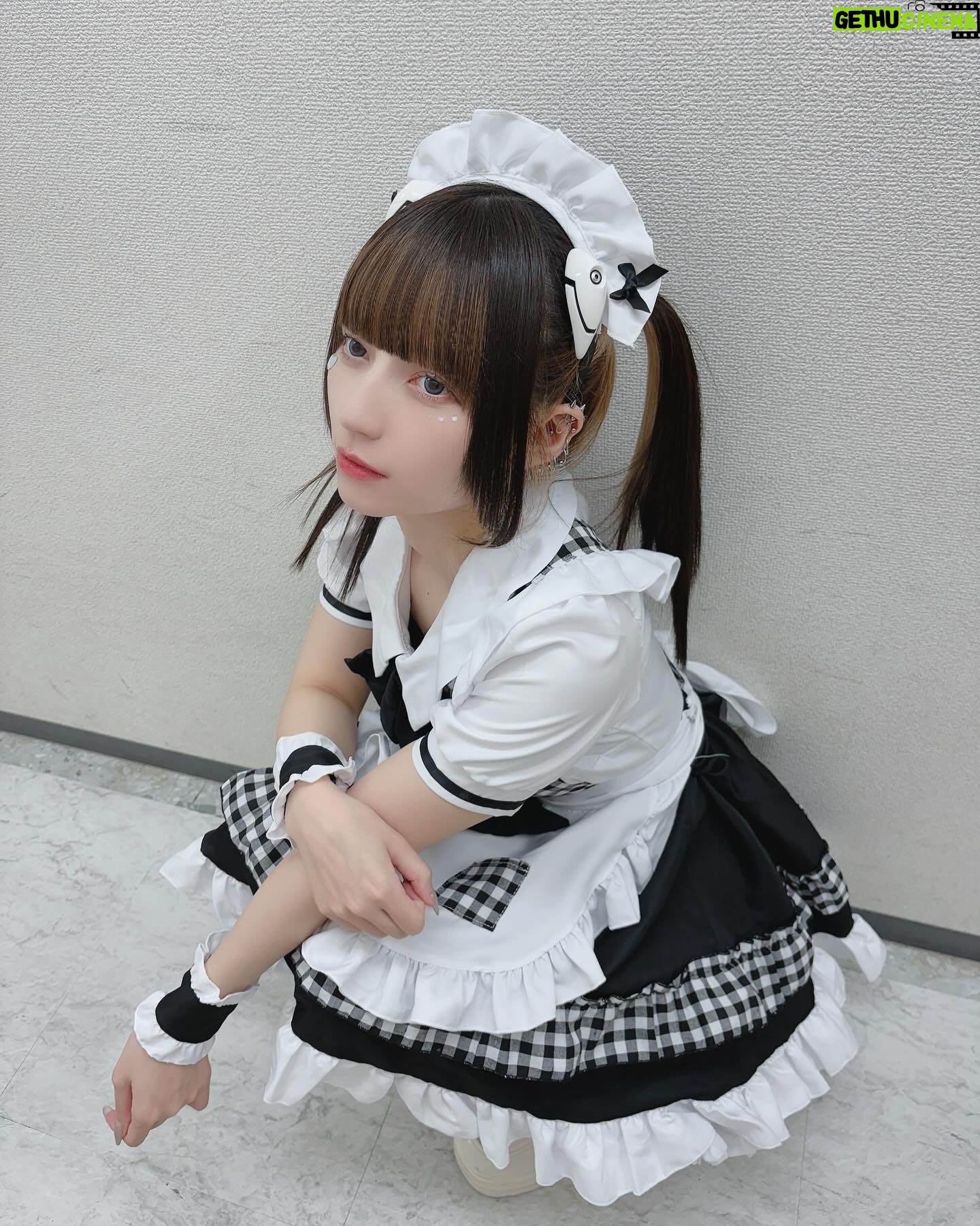 Yane - 3.8K Likes - ピ♡