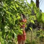 Yaprak Medine Instagram - 🍃🌿
