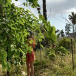 Yaprak Medine Instagram - 🍃🌿