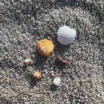 Yaprak Medine Instagram - yazın ilk denizi ☀️