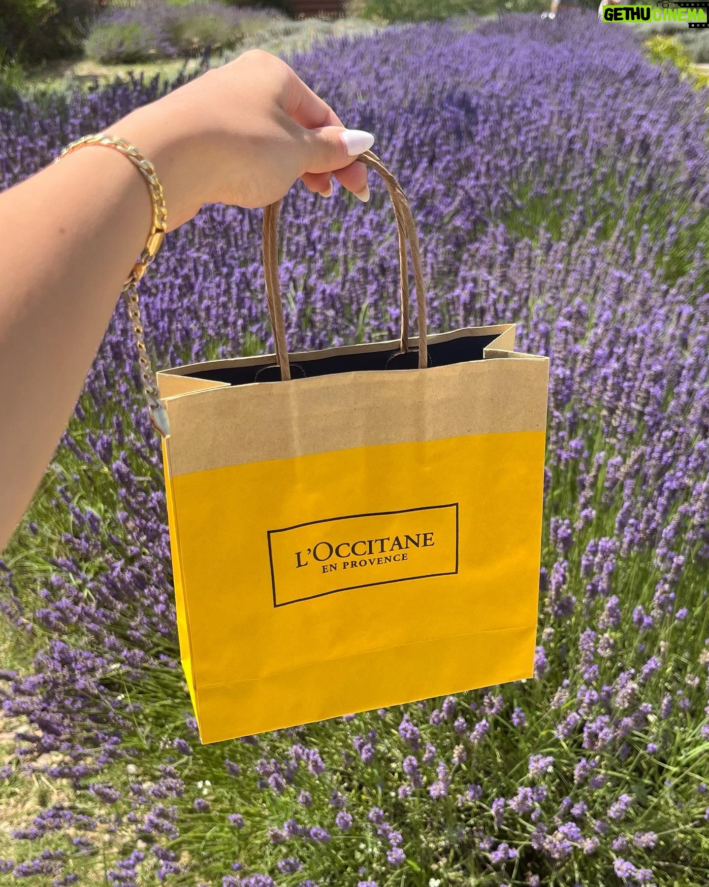 Yara Mustafa - 79.8K Likes - a @loccitaneme dump π