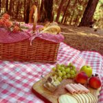 Yare Santana Instagram – 🐿️🍂🪵🍄‍🟫

#birthday #mayo #bosque #picnic #familia #foto #ajusco