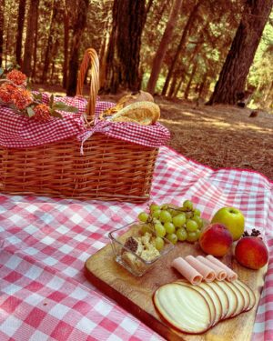 Yare Santana Instagram - 🐿️🍂🪵🍄‍🟫

#birthday #mayo #bosque #picnic #familia #foto #ajusco