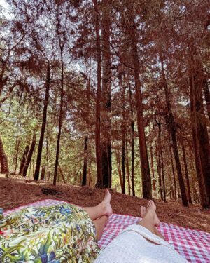 Yare Santana Instagram - 🐿️🍂🪵🍄‍🟫

#birthday #mayo #bosque #picnic #familia #foto #ajusco