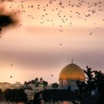 Yasemin Hadivent Instagram - “Vicdanı olmayan her insan Nazi’dir.” “Every person without conscience is a Nazi.” said #ZülfüLivaneli #FreedomForPalestine #PalestineLivesMatter #savesheikjarrah
