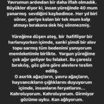 Yasemin Hadivent Instagram - Saat 4:19