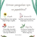 Yasemin Hadivent Instagram - Posted @bendeburdayimm
