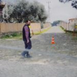 Yasemin Yazıcı Instagram - Kayıp ve buluntu fotoğraflar kutusu ☘️ #yeşildenizmilenyum
