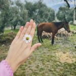 Yasemin Yazıcı Instagram - Kayıp ve buluntu fotoğraflar kutusu ☘️ #yeşildenizmilenyum