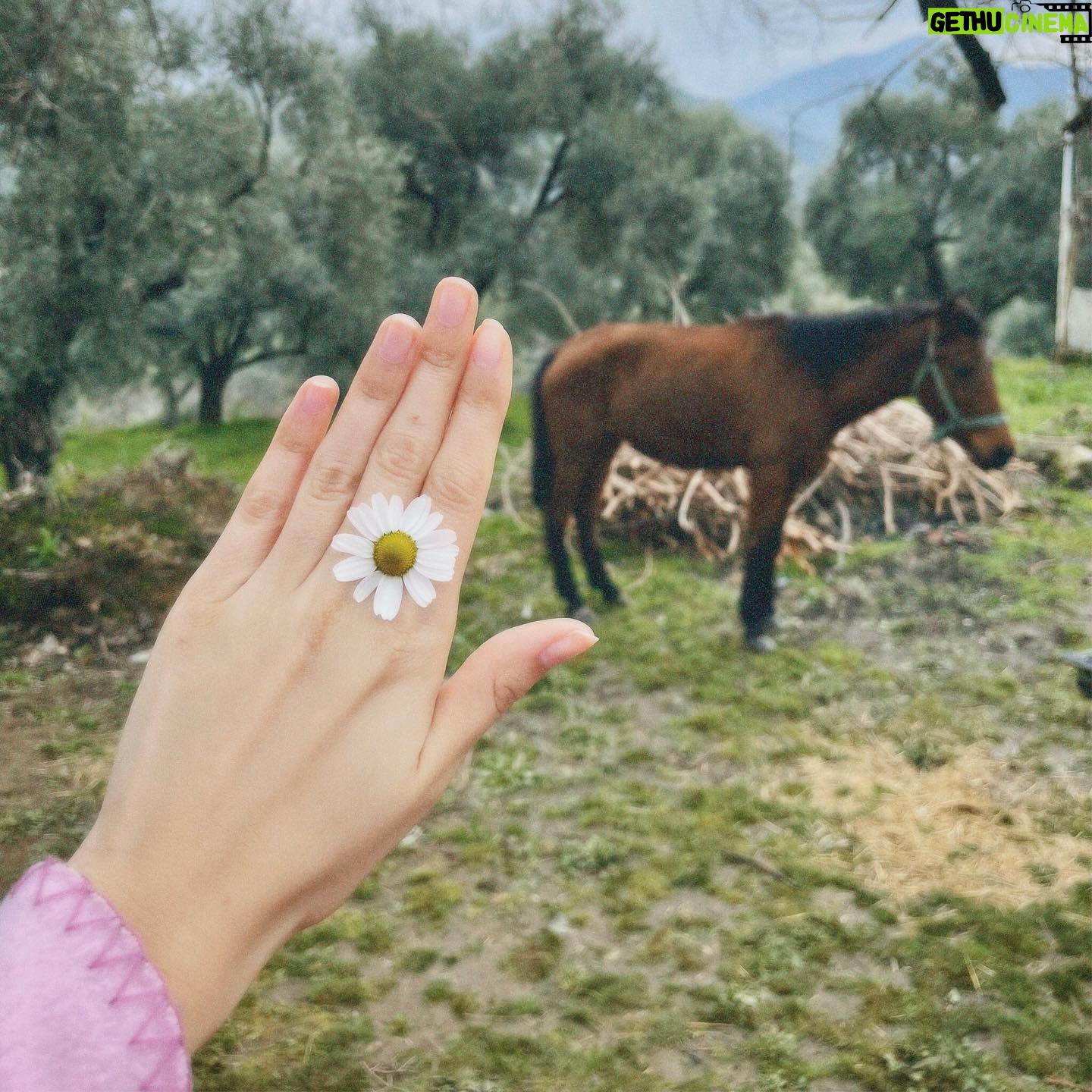 Yasemin Yazıcı Instagram - Kayıp ve buluntu fotoğraflar kutusu ☘️ #yeşildenizmilenyum