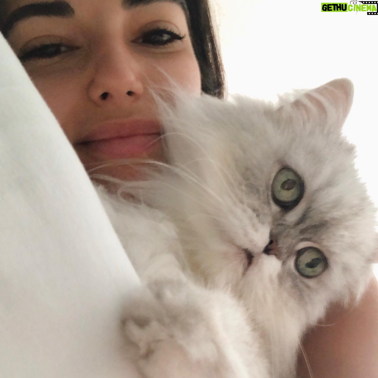 Yasemin Yazıcı Instagram - Sevgili Duman’ım, Çocukken kedilerden çok korkardım. Bu korkumu aşabilmem için seni sahiplendik. Meğer sen tüylü bir melekmişsin. Bir kez olsun beni tırmalamadın veya ısırmadın ya, teşekkür ederim minnoşum. Beraber uyurduk, birlikte ders çalışır, filmler izler, ve hatta spor yapardık. Tek çocuklu ailemde kardeşim oldun. Hayatımıza 16 yıl boyunca mutluluk getirdin. 4 sene önce hastalandığında veterinerin seni uyutmamızı önerdi. Neyse ki, daha fazla zamanla kutsandık ve sen hayatımızı bütün enerjinle aydınlatmaya devam ettin. Yıllar geçti ve 14 Ekim günü benden küçük bir kedi yavrusu olarak girdiğin evden kedi yaşıyla babamdan büyük olarak ayrıldın. Umarım cennette senin için sonsuz muhallebi, oturabileceğin güzel kutular, her zaman açık kapılar ve musluğundan sonsuz akan su vardır. Seni kucağımda izlediğin gibi güzel kuşlarla çevrili hayal ediyorum. Seni şimdiden çok özlüyoruz canım minnoşum. Paylaştığımız sevgi de anılar da kalbimde sonsuza kadar yaşayacak. Tekrar buluşana kadar huzur içinde dinlen. Tüm sevgimle, Yasemin