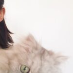 Yasemin Yazıcı Instagram – Sevgili Duman’ım,

Çocukken kedilerden çok korkardım. Bu korkumu aşabilmem için seni sahiplendik.  Meğer sen tüylü bir melekmişsin. Bir kez olsun beni tırmalamadın veya ısırmadın ya, teşekkür ederim minnoşum. Beraber uyurduk, birlikte ders çalışır, filmler izler, ve hatta spor yapardık. Tek çocuklu ailemde kardeşim oldun. Hayatımıza 16 yıl boyunca mutluluk getirdin.

4 sene önce hastalandığında veterinerin seni uyutmamızı önerdi. Neyse ki, daha fazla zamanla kutsandık ve sen hayatımızı bütün enerjinle aydınlatmaya devam ettin.
Yıllar geçti ve 14 Ekim günü benden küçük bir kedi yavrusu olarak girdiğin evden kedi yaşıyla babamdan büyük olarak ayrıldın. Umarım cennette senin için sonsuz muhallebi, oturabileceğin güzel kutular, her zaman açık kapılar ve musluğundan sonsuz akan su vardır.

Seni kucağımda izlediğin gibi güzel kuşlarla çevrili hayal ediyorum. Seni şimdiden çok özlüyoruz canım minnoşum. Paylaştığımız sevgi de anılar da kalbimde sonsuza kadar yaşayacak. Tekrar buluşana kadar huzur içinde dinlen.

Tüm sevgimle,
Yasemin