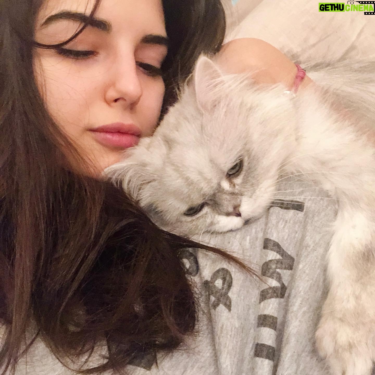 Yasemin Yazıcı Instagram - Sevgili Duman’ım, Çocukken kedilerden çok korkardım. Bu korkumu aşabilmem için seni sahiplendik. Meğer sen tüylü bir melekmişsin. Bir kez olsun beni tırmalamadın veya ısırmadın ya, teşekkür ederim minnoşum. Beraber uyurduk, birlikte ders çalışır, filmler izler, ve hatta spor yapardık. Tek çocuklu ailemde kardeşim oldun. Hayatımıza 16 yıl boyunca mutluluk getirdin. 4 sene önce hastalandığında veterinerin seni uyutmamızı önerdi. Neyse ki, daha fazla zamanla kutsandık ve sen hayatımızı bütün enerjinle aydınlatmaya devam ettin. Yıllar geçti ve 14 Ekim günü benden küçük bir kedi yavrusu olarak girdiğin evden kedi yaşıyla babamdan büyük olarak ayrıldın. Umarım cennette senin için sonsuz muhallebi, oturabileceğin güzel kutular, her zaman açık kapılar ve musluğundan sonsuz akan su vardır. Seni kucağımda izlediğin gibi güzel kuşlarla çevrili hayal ediyorum. Seni şimdiden çok özlüyoruz canım minnoşum. Paylaştığımız sevgi de anılar da kalbimde sonsuza kadar yaşayacak. Tekrar buluşana kadar huzur içinde dinlen. Tüm sevgimle, Yasemin