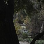 Yasmeen Fletcher Instagram - Life through my eyes in recent