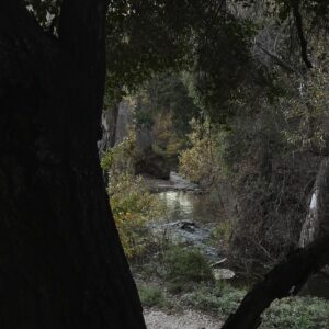 Yasmeen Fletcher Instagram - Life through my eyes in recent