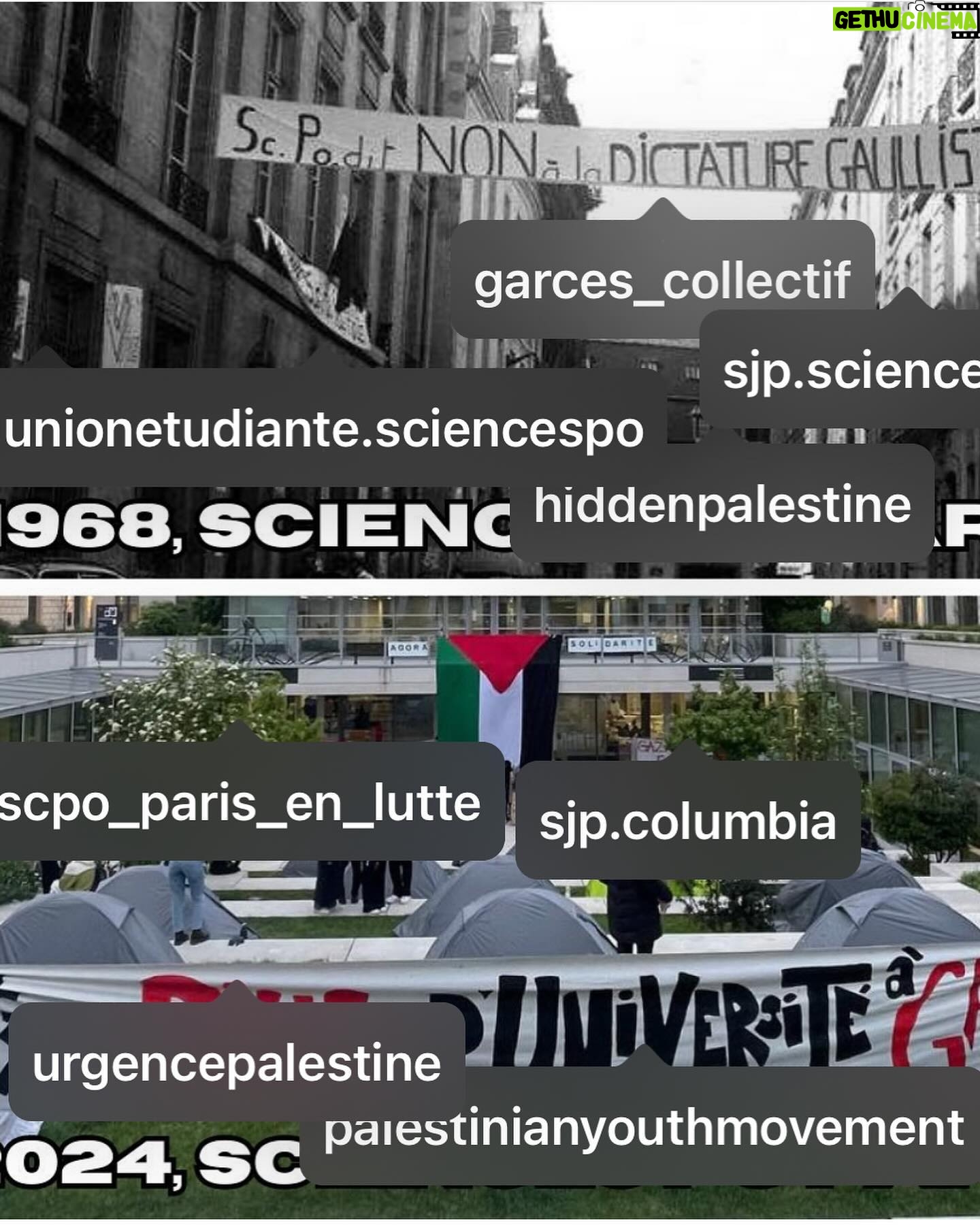 Yasmine Al Massri Instagram - Palestine is re-educating our kids the only lesson academia has failed at .. #all of #us for all of us .. the only world we can thrive for , or revolution #harvard #usc #siencepo …