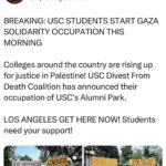 Yasmine Al Massri Instagram - Palestine is re-educating our kids the only lesson academia has failed at .. #all of #us for all of us .. the only world we can thrive for , or revolution #harvard #usc #siencepo …