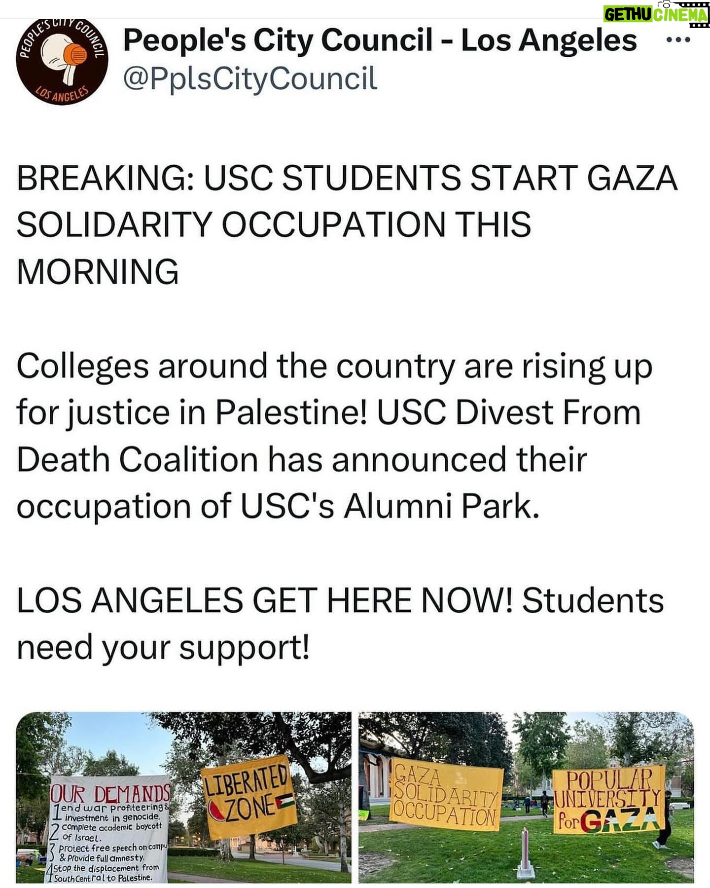 Yasmine Al Massri Instagram - Palestine is re-educating our kids the only lesson academia has failed at .. #all of #us for all of us .. the only world we can thrive for , or revolution #harvard #usc #siencepo …
