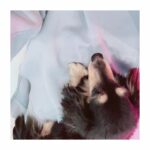 Yasuko Matsuyuki Instagram - . オハヨウゴザイマス ストレッチすると必ず コウナル 今日もガンバル #癒し #ルーディ #いつも一緒 #ありがとう #わたしのお腹は #ルーディのソファ