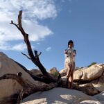 Yaya DaCosta Instagram - (continued from last post) In an attempt to answer this, I’m reminded of something director @ayizejamaeverett said last week at a screening of his brilliant documentary @atableofourownofficial. When discussing whiteness in healing spaces, he said, “You don’t start out kicking the neighbor’s dog. You start out kicking your own dog. So when you look at the abuse that happened to other peoples, to the land, to women… look at what happened to European women elders who knew the land, who knew about the psyche, who had oral traditions that were passed down for thousands of years. What did they do to them? They burned them. They burned women. Do you understand the pathos that takes? Of course, if you’ll do that, you’ll go to any other part of the world and do the same thing. Now, you have an opportunity to say “let’s go back there. Let’s reclaim those witches”. Yes, there are generational curses, but there is also generational strength, generational compassion, generational growth. These are all things that can be accessed.” I’m also reminded of @empresskarenrose speaking a couple of days ago about the indigenous understanding of “soul loss”, and the ancient belief that what is broken can be healed. I wonder then: how can the European diaspora heal ancestral trauma and retrieve the parts of their souls that had to take flight in order for such atrocities to be committed? How can they repair the harm done to themselves and to the rest of the planet? I believe it starts with rendering reparations, returning land, restoring control of resources, recognizing responsibility, reimagining their place in a world of racial equity, listening to those melanated distant cousins whose links to indigeneity remain strong, and deep, consistent prayer for collective liberation on the planet. . Channeled Message: It is time for cloaks of compassion, generosity, duty, repentance… For tapping into the truth of who we are without the delusions of superiority passed down from those who thought only of themselves. We return. We return. We return to our humanity. . 📸: @thaisaquinophotography 💇🏾‍♀️: @chiomanvhair 🎵: The Chieftains, “The Women of Ireland” #AncestryDecolonized