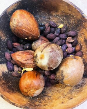 Yeşim Ceren Bozoğlu Instagram - Bir vakit önce setten dönmüşüm yine böyle, ayıptır söylemesi; oturdum bir adet mandalina yedim mutfakta, evde.
Fakat yarabbim o da ne?
Küçücük bir mandalinanın içinden çıkan çekirdek bitmek bilmedi ya öyle…

Ya sabır deyip koyuyorum masaya.

Saydım tam 16 tane…

“Yav amma da çekirdekli çıktı” diye söylenirken, gözüm takıldı çekirdeklere…

Bir daha saydım tam 16 tane.

Dedim ki toprağa diksem, sulasam 16 ağaç koymuş Allah bana; bir tek mandalinanın içine.

Nasıl anlatayım bilmem…

Ancak bir daha tek bir tohum atamadım ben naçizane…

Sabah annem yollamış bana aşağıdaki yazıyı, belki bir kaç tohuma bir kaç ağaca vesile oluruz niyetine:

ÇEKİRDEKLERİ ÇÖP TORBASINA DEĞİL, TOPRAĞA!

@temavakfi  SESLENİYOR:

Yeryüzünün aldığı yağmur oranı 10 yıllık aralıklarda artar. Bu sene dünyanın periyodik olarak en çok yağmur alan yıllarından biri olacak, bu nedenle yediğiniz kayısı, şeftali, kiraz, vişne, karpuz, kavun, erik vb. meyvelerin çekirdeklerini lütfen çöpe atmayın, hele çöp poşetlerine asla hapsetmeyin.

Mümkünse herhangi bir yerde toprağın 10 cm altına gömün. Üzerine de bir bardak su dökün. Gömme imkanınız yoksa bi poşette bu çekirdekleri biriktirip yanınıza alın ( yada arabanıza koyun) arsa, tarla, toprak yol kenarı, yamaç gibi toprağı gördüğünüz alanlara bu çekirdeklerinizi savurun, korkmayın bu çevre kirliliği değildir aksine çevre için yeni hayattır.

Doğa hemen o yeni çekirdekleri kucaklar ve besler…

Yapacağınız en kötü hareket çekirdekleri poşetlere hapsetmektir.

Bunu yapmayın ve yaptırmayın.

Yapılan çalışmalarda doğaya başıboş atılan yada dikilen bu çekirdeklerin en az yarısının yeşerip ağaç veya bitki olduğu kanıtlanmış.

En büyük israflardan birisi meyve çekirdeklerinin çöpe atılması, ülkemiz adına küçümsenemeyecek büyük bir servet...

Doğaya yardım etmek, gelecekte etrafımızı saracak beton ve gökdelenlerden alamayacağımız oksijeni karşılamak için bile bu çekirdeklerden çıkacak ağaçlara ihtiyacımız olacaktır.

Poşete koymadığınız her çekirdek için şimdiden teşekkürler...

@gunselibozogluu 🙏🏻
