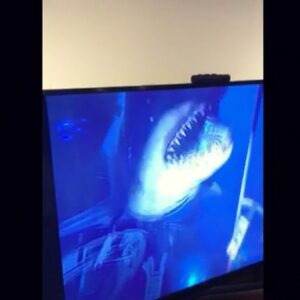 Yeşim Dalgıçer Instagram - #VR teknolojisiyle ilk tanışmamda köpekbalıklarıyla zor anlarım🦈😱Dayanabilen gelsin😂 @__buketgungordu @emreatabay 🙈 #meydanokuyorum