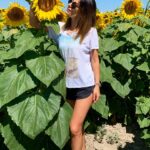 Yeşim Dalgıçer Instagram - 🌻