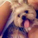 Yeliz Şar Instagram - Canım kızım bizi bırakıp gittiğine hala inanamıyorum..sensizlik çok zor..bana koşulsuz sevilmeyi sevmeyi öğrettin..seni hiç unutmayacağım ve hep çok özleyeceğim…sen muhteşem bir kızdın beni görünce dans etmen,usluluğun,bakışın,oburluğun,tatlılığın…huzur içinde uyu Mia bal küpüm💗🙏
