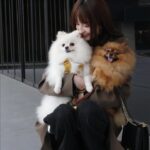 Ying-Xuan Ge Instagram - ：一輩子那麼長，總會有好事發生。 是啊。